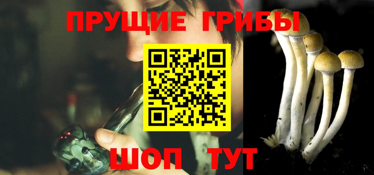 Галлюциногенные грибы Cubensis  Вход с VPN  Белгород 